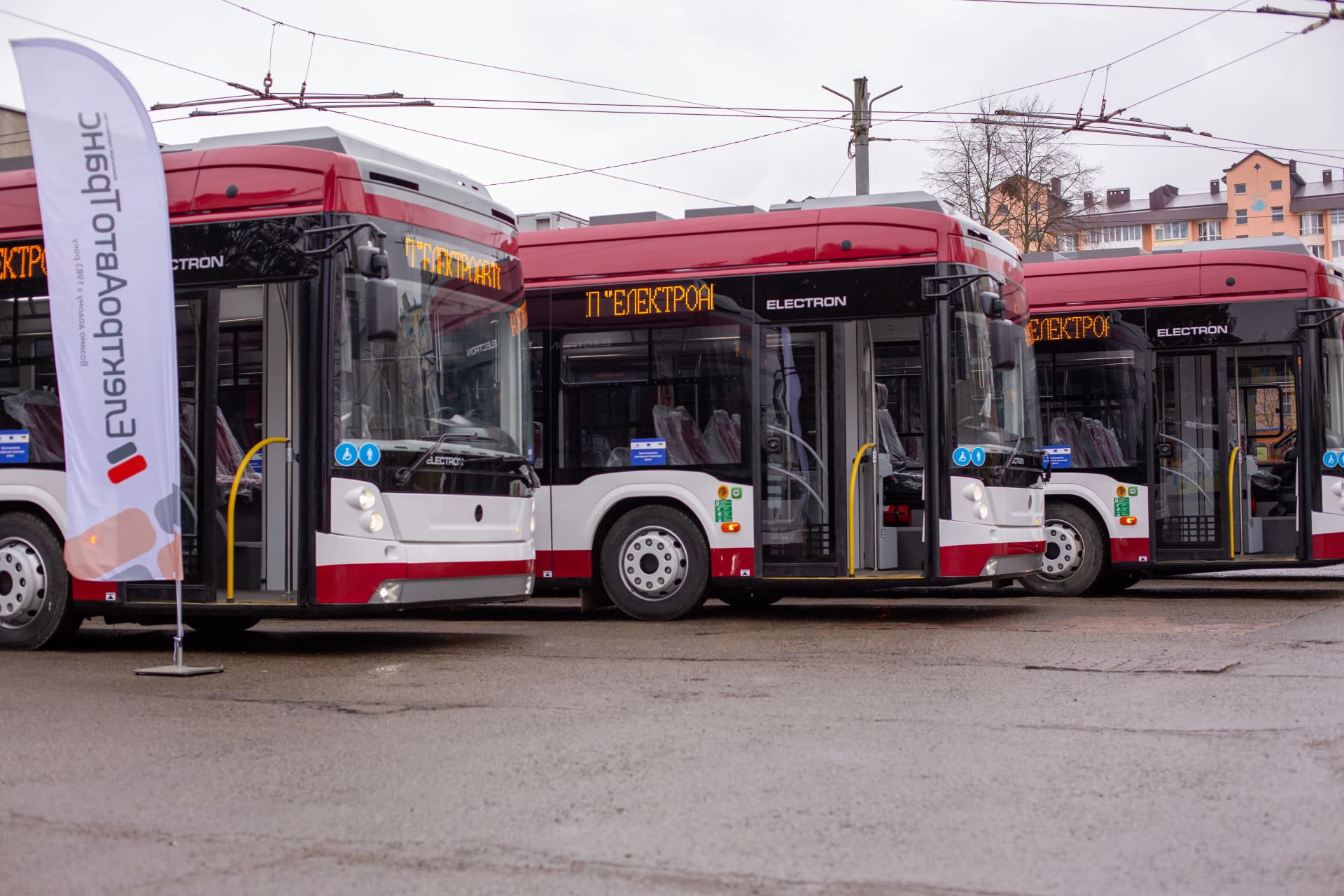 Їздять з рогами і без: На маршрути Франківська виїжджають українські дуобуси