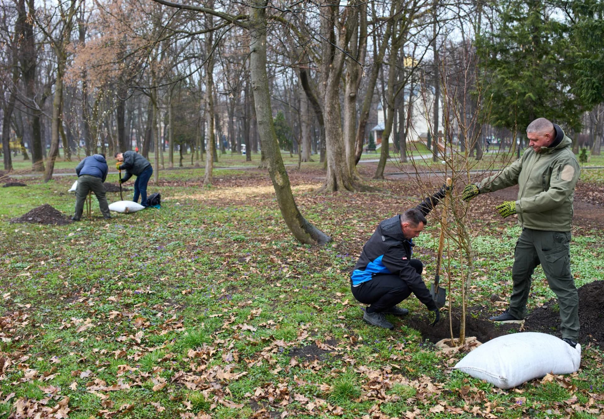 Загальноміська толока: разом працюємо для міста