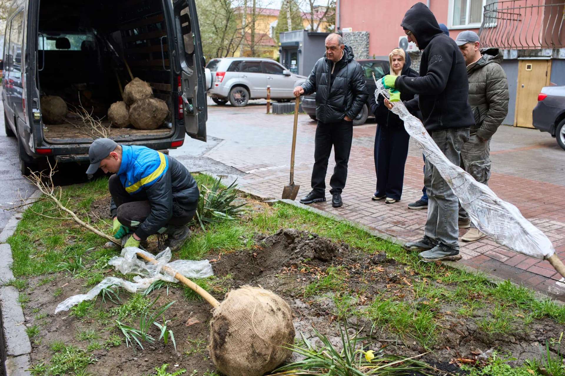 Щоб Франківськ зазеленів